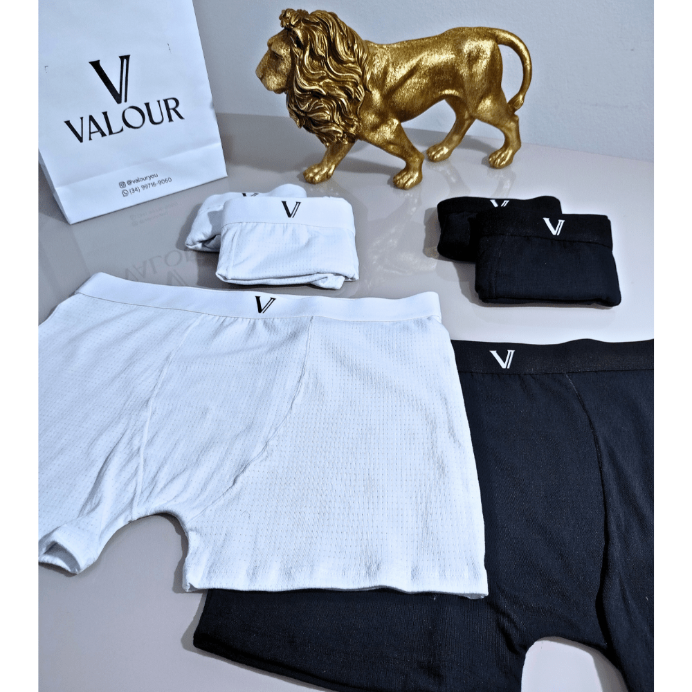 Kit 2x Cueca Thermo Dry Algodão